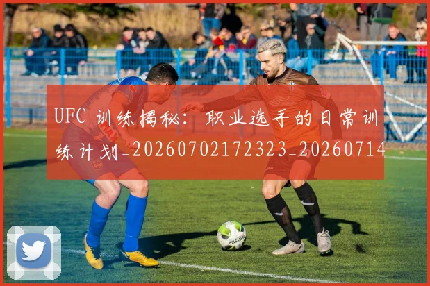 UFC 训练揭秘：职业选手的日常训练计划_20260702172323_20260714215906