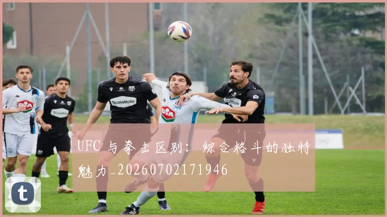 UFC 与拳击区别：综合格斗的独特魅力_20260702171946