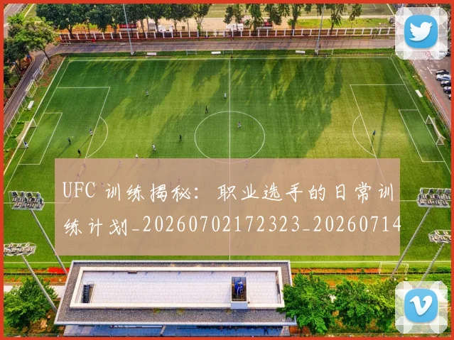 UFC 训练揭秘：职业选手的日常训练计划_20260702172323_20260714215906