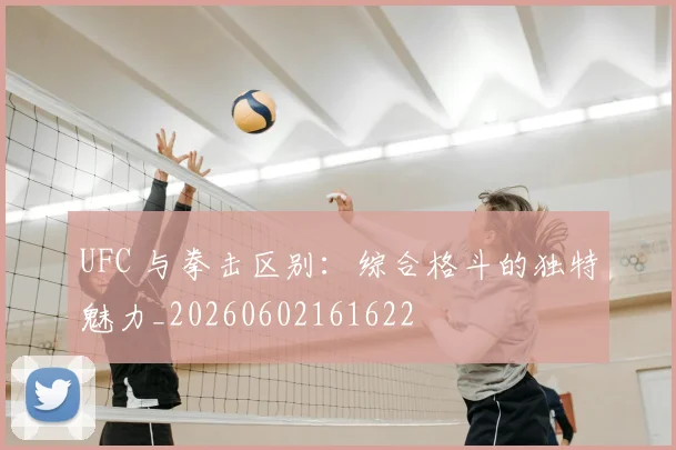 UFC 与拳击区别：综合格斗的独特魅力_20260602161622