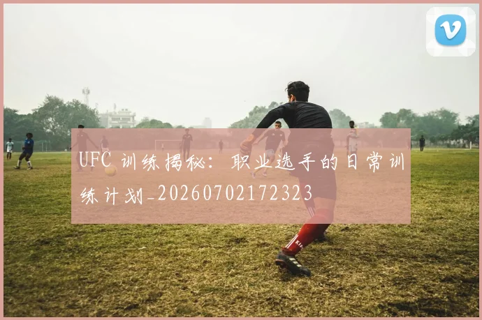 UFC 训练揭秘：职业选手的日常训练计划_20260702172323